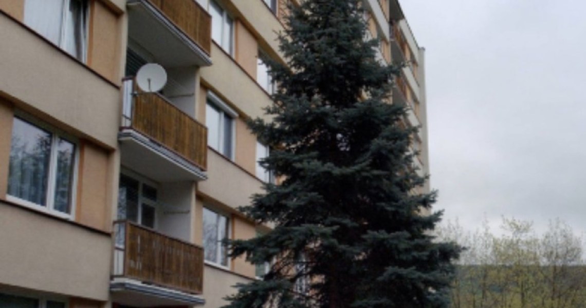 17_4799646312.jpg